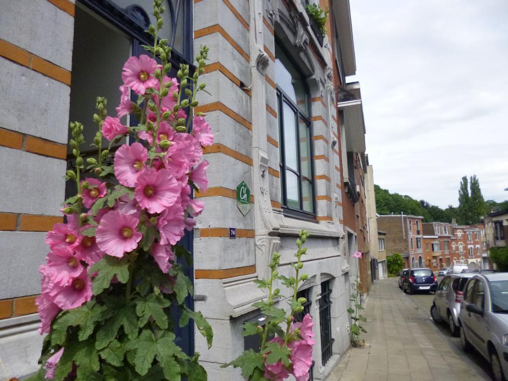 Bed & Breakfast Matin Tranquille Luik